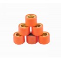 Performance Roller Weight 15x12